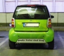 http://dahmen.de: Smart - Grosse Autos sind doof